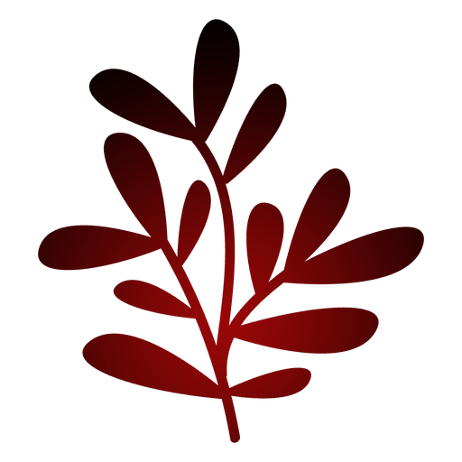 Jardisia Soldes Boutique